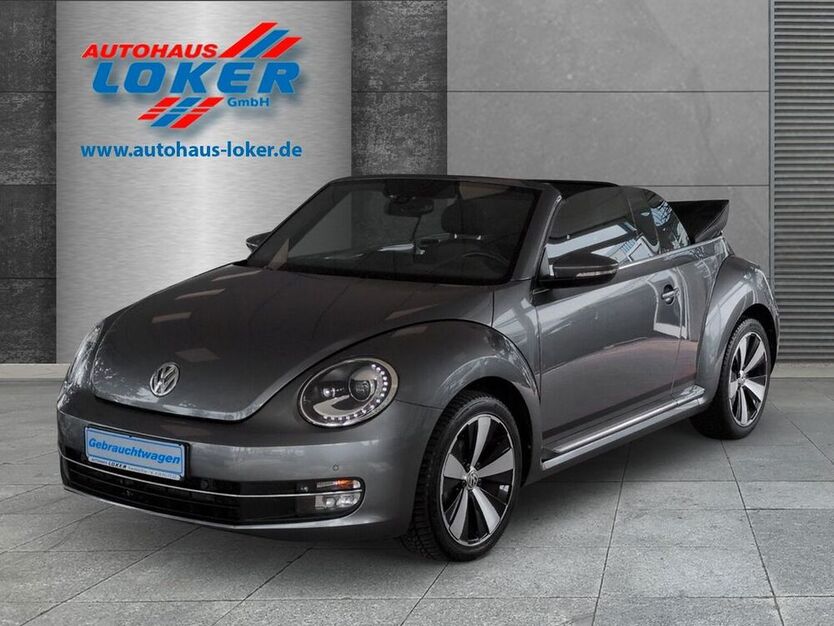 Beetle