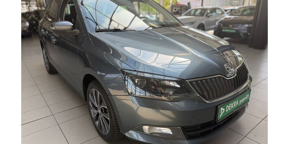 Skoda Fabia 248.000 km 4.890 &euro; Bottrop 46238