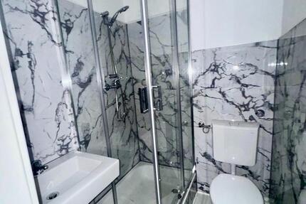 Modernisierte 2 Zimmer Wohnung in sehr zentraler Lage ab 01.02.2026 frei 2 zimmer