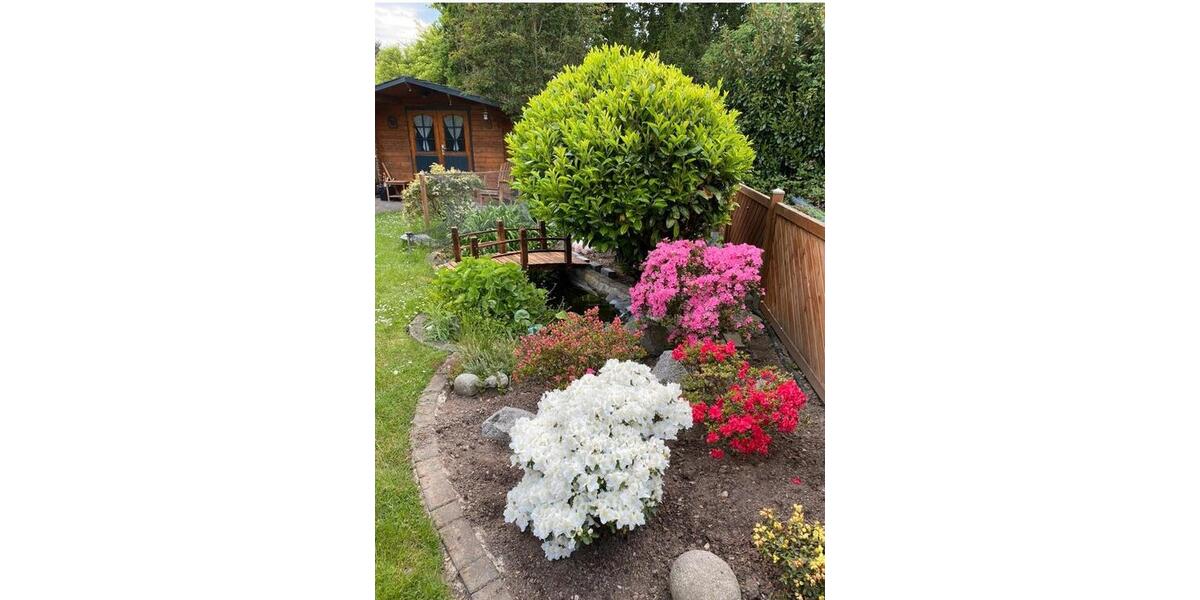 Vermietung 3.5 zimmer