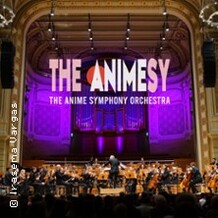 The Animesy im Konzert