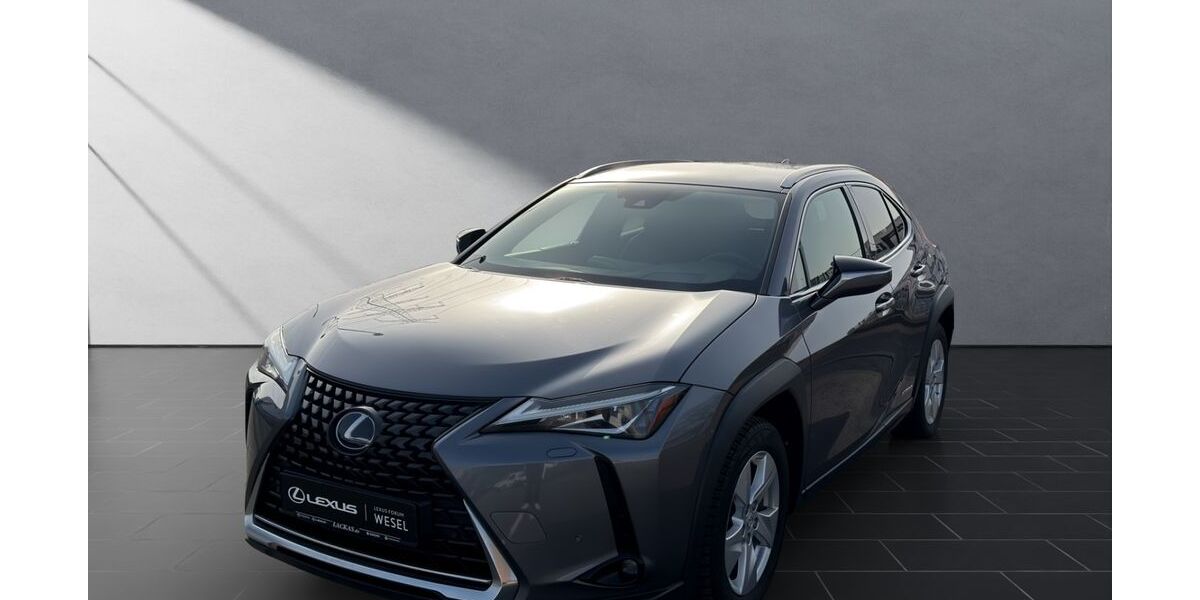 Lexus UX 142.870 km 18.449 &euro; Wesel 46485