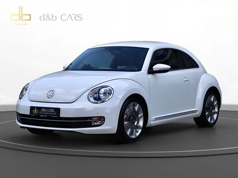Beetle