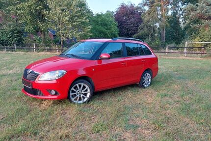 Skoda Fabia 128.000 km 3.990 € Dorsten 46286