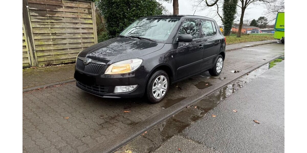 Skoda Fabia 115.700 km 4.550 &euro; Marl 45770