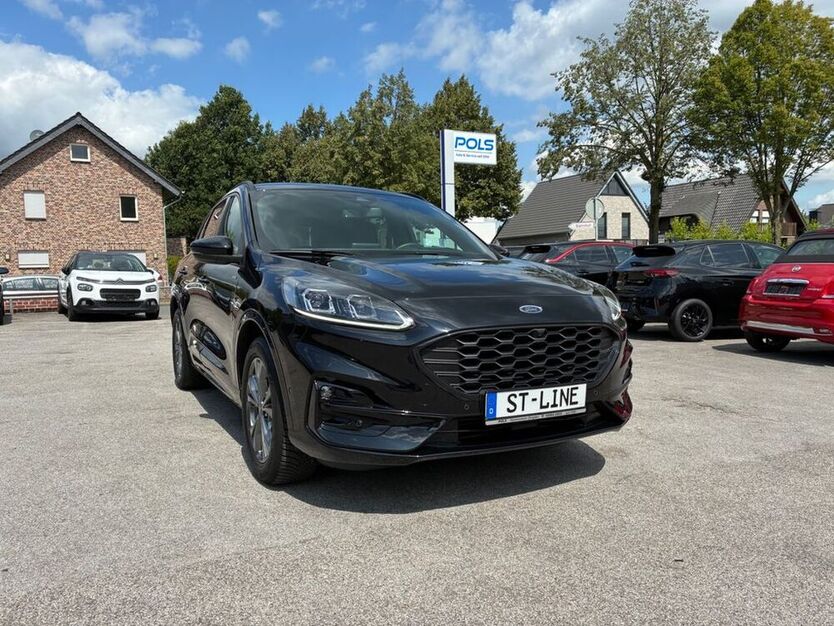 Kuga