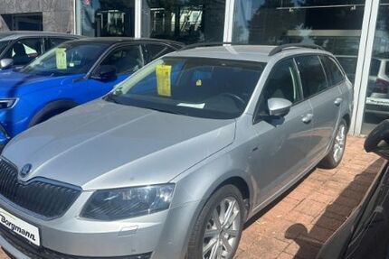 Skoda Octavia 45.300 km 16.990 € Bottrop 46240