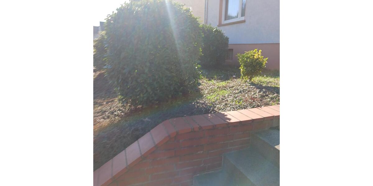 Etagenwohnung Bochum Höntrop - 2 Zimmer, 58 m&sup2;, 495&euro; | Angebot:25322428