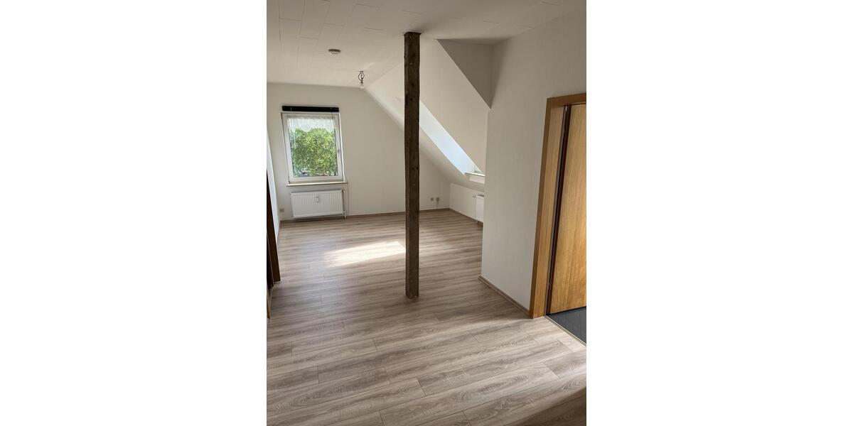 3,5-Zimmer-Wohnung mit Küche, frisch renoviert im Winter 2025 3.5 zimmer