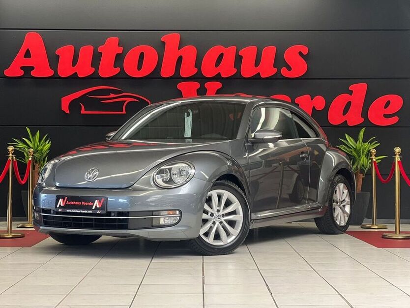 Beetle