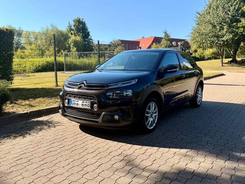 C4 Cactus