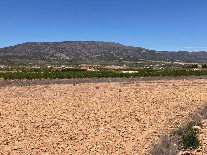 Grundstück zu verkaufen in Pinoso - El Pinós 69.500 € 14000 m²