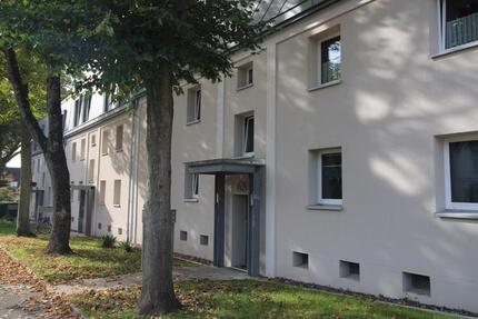 Vier Wände zum Wohlfühlen. 3.5 zimmer