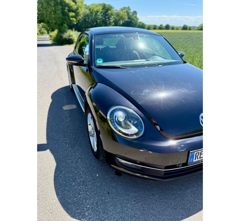 Beetle