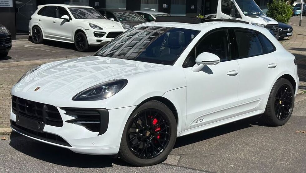 Macan
