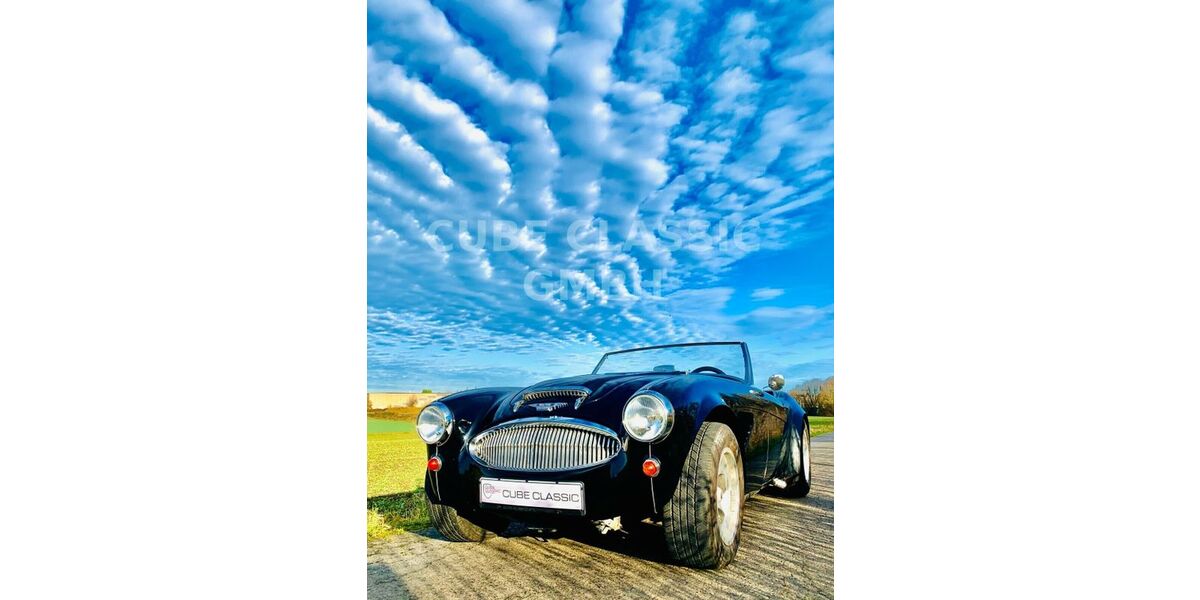 Austin Healey Andere 60.000 km 59.800 € Essen 45127