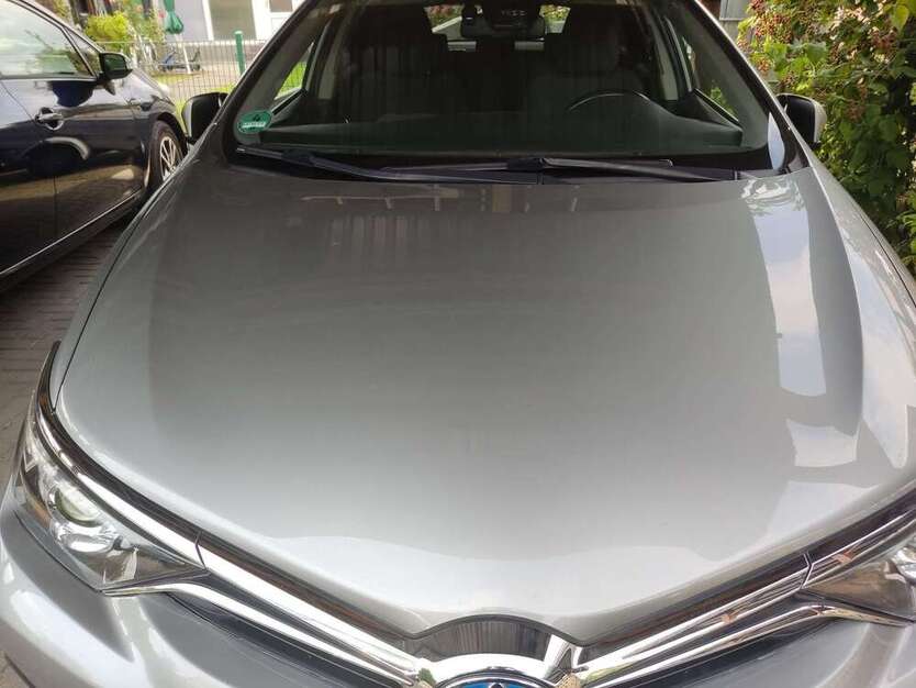Auris