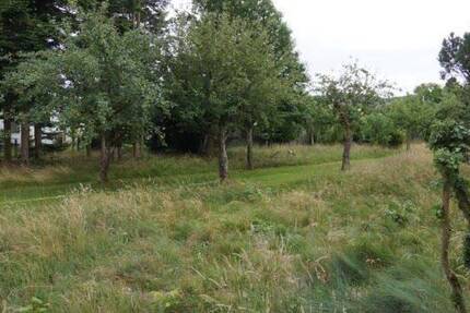 Baulücke in naturnaher Lage