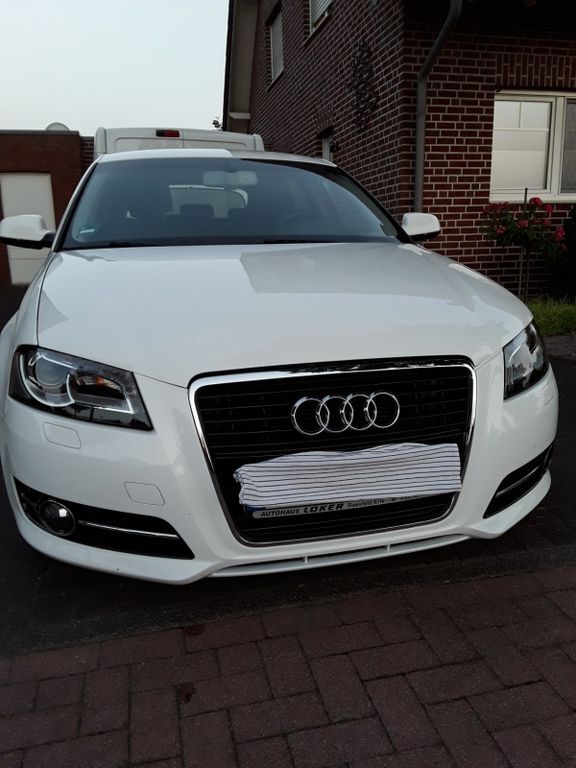 A3