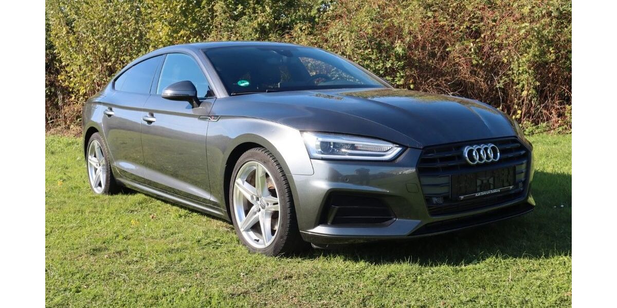 Audi A5 69.075 km 25.900 &euro; Alpen 46519