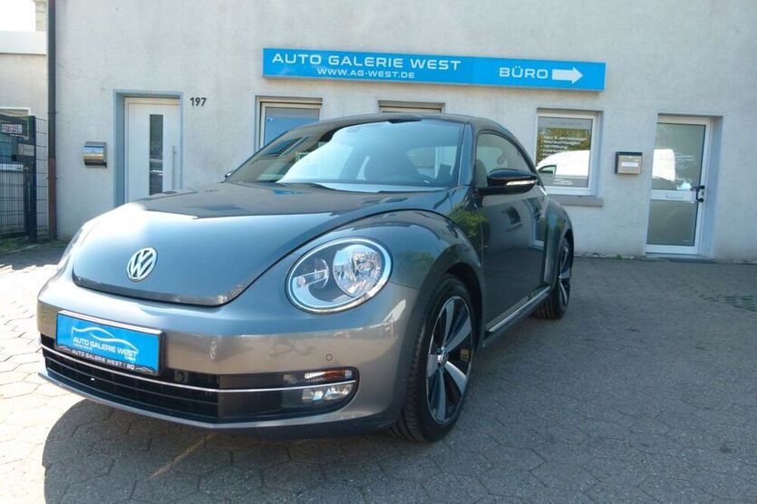 Beetle