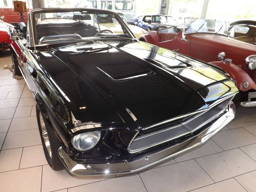 Mustang