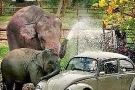 Chrysler PT Cruiser 170.000 km 3.450 € Gelsenkirchen 45881