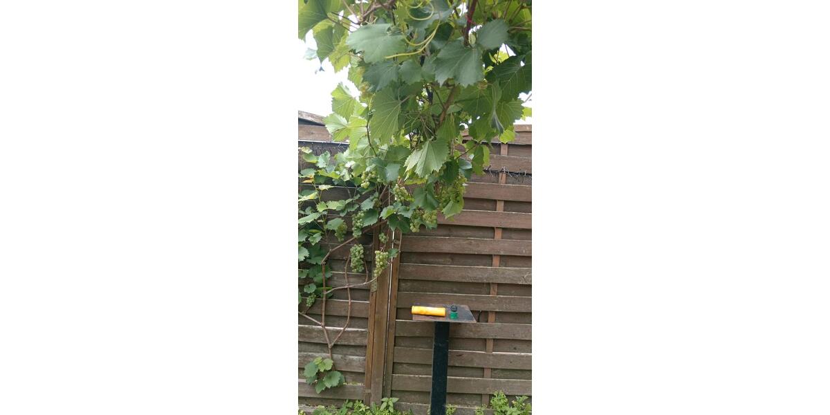 Reihenmittel Haus in schöner Lage zu verkaufen Provisionsfrei zimmer