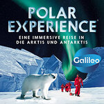 POLAR EXPERIENCE - Die immersive Ausstellung | Flex Ticket August