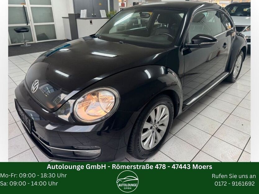 Beetle