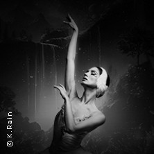 Grand Classic Ballet - Schwanensee - Jenseits der Bühne mit live Streichquartett 12.01.2027 THEATER MARL