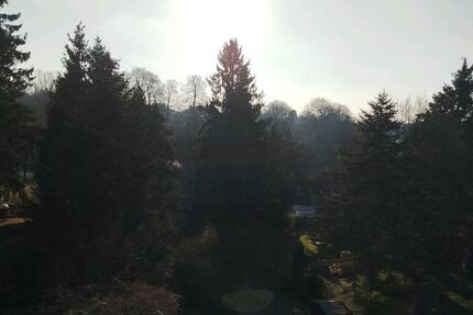 Wohnung zu vermieten 60 M2 3 zimmer