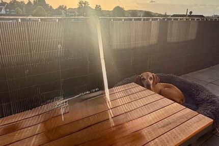 Zu vermieten - 75 qm Wülfrath 3 Zimmer Wohnung 3 zimmer