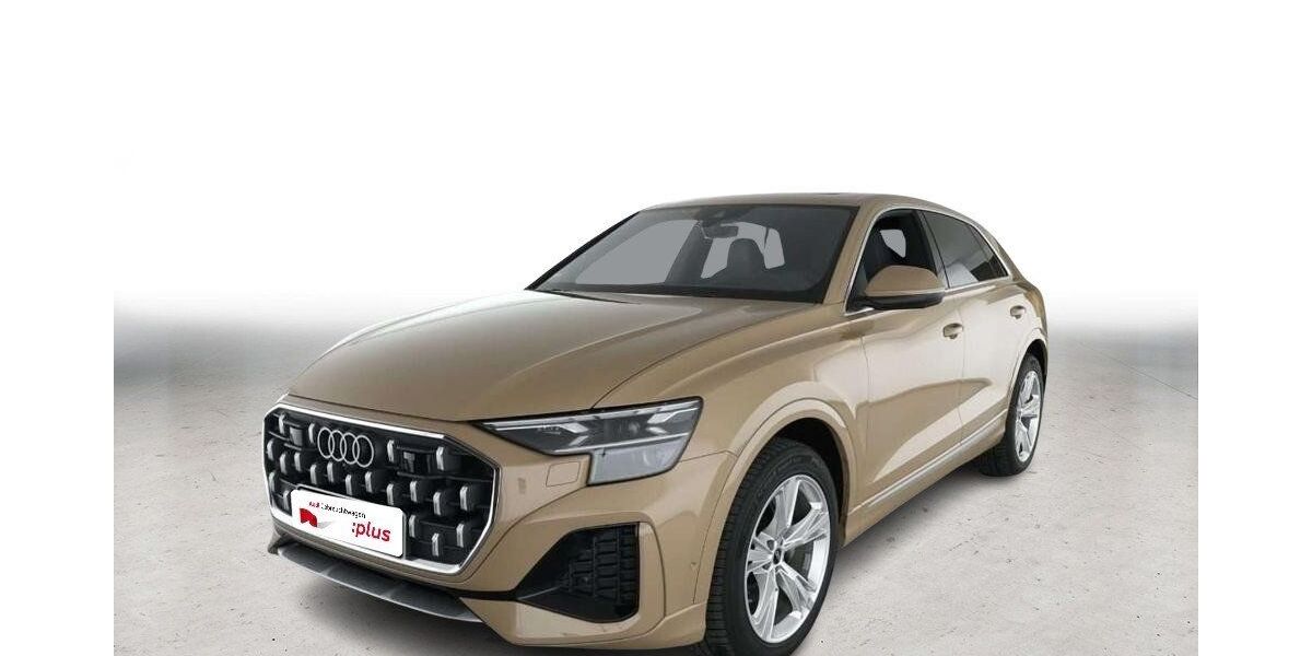 Audi Q8 24.942 km 77.880 &euro; Moers-Hülsdonk 47441
