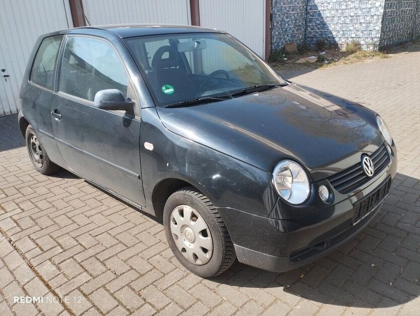 Lupo