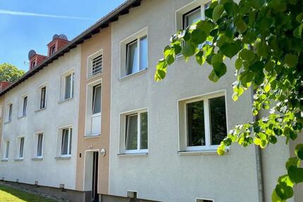 2-Raumwohnung mit Balkon und neuem Badezimmer 2 zimmer