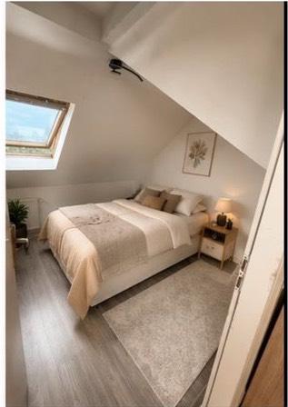 Dachgeschoßwohnung Bottrop Ebel - 1 Zimmer, 59 m&sup2;, 785&euro; | Angebot:27624456