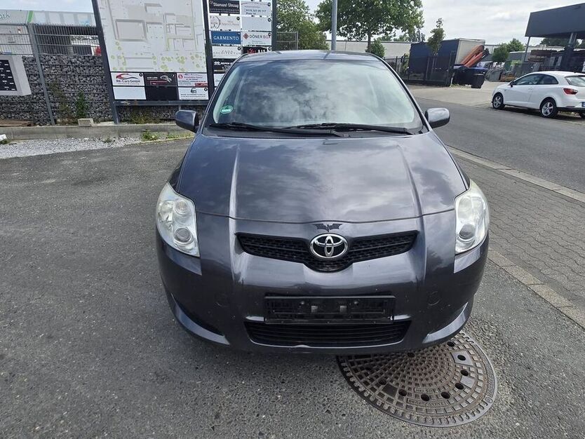 Auris