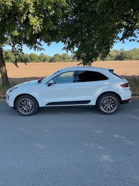 Macan