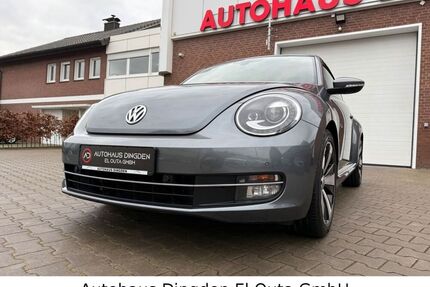 VW Beetle