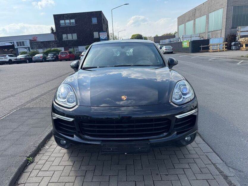 Cayenne