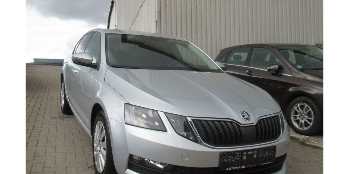 Skoda Octavia 100.718 km 13.490 &euro; Herne 44653