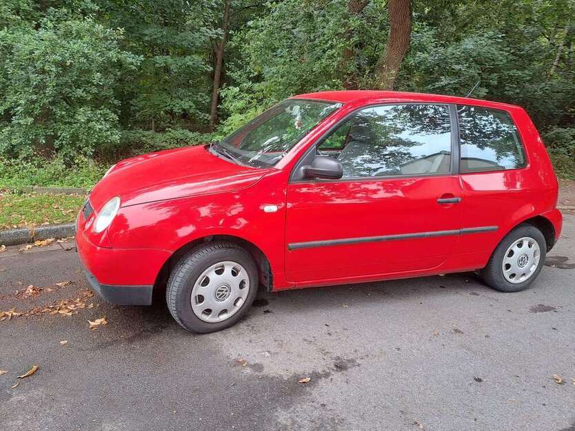 Lupo