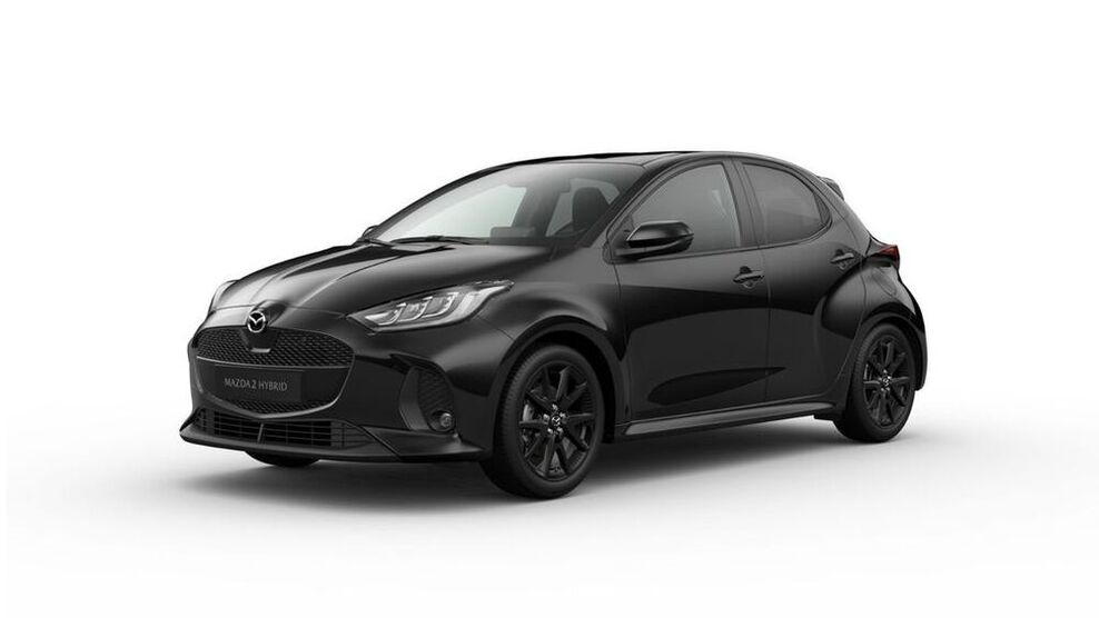 2 Hybrid
