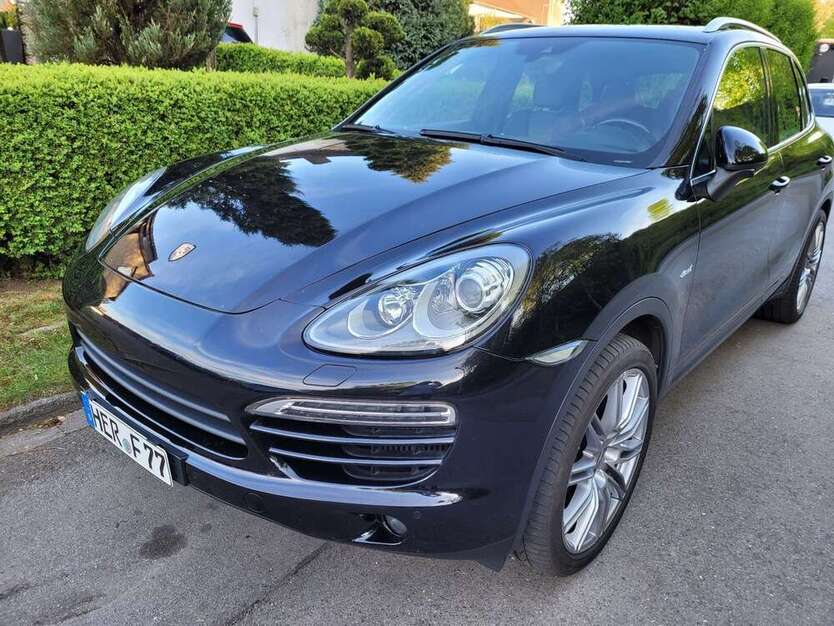 Cayenne