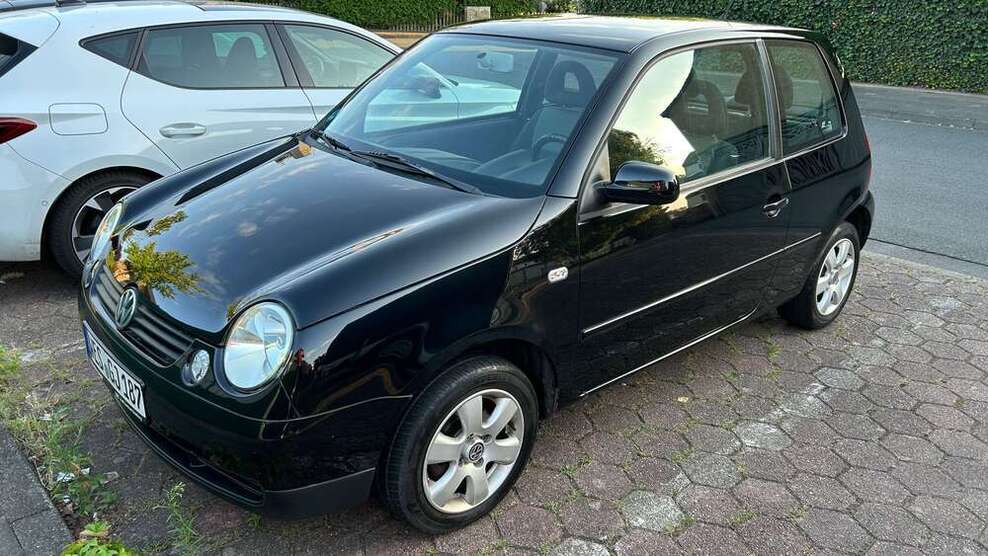 Lupo