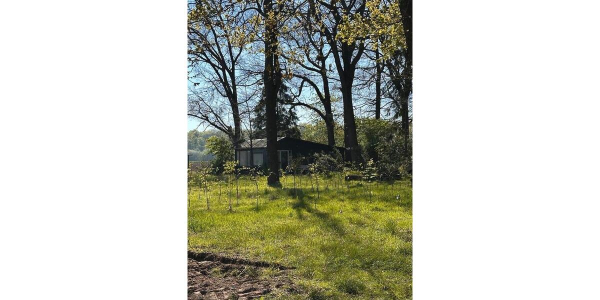 Etagenwohnung Dorsten Alt-Wulfen - 2 Zimmer, 50 m&sup2;, 150&euro; | Angebot:26279889