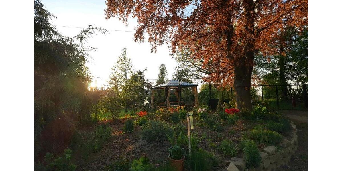 Bauernhaus, Landhaus Voerde (Niederrhein) - 12 Zimmer, 156 m&sup2;, 675.000&euro; | Angebot:26635908