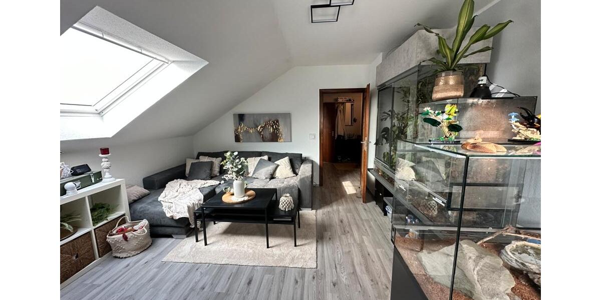 Dachgeschoßwohnung Gladbeck Brauck - 3 Zimmer, 58 m&sup2;, 365&euro; | Angebot:26337242