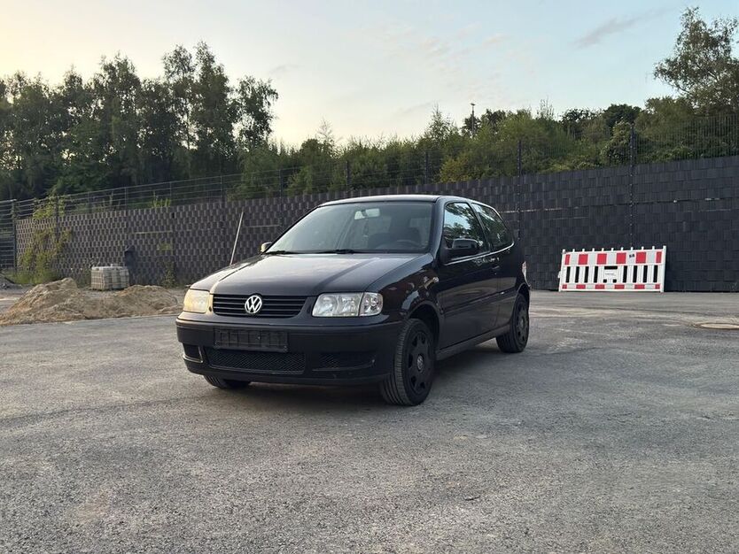 Polo